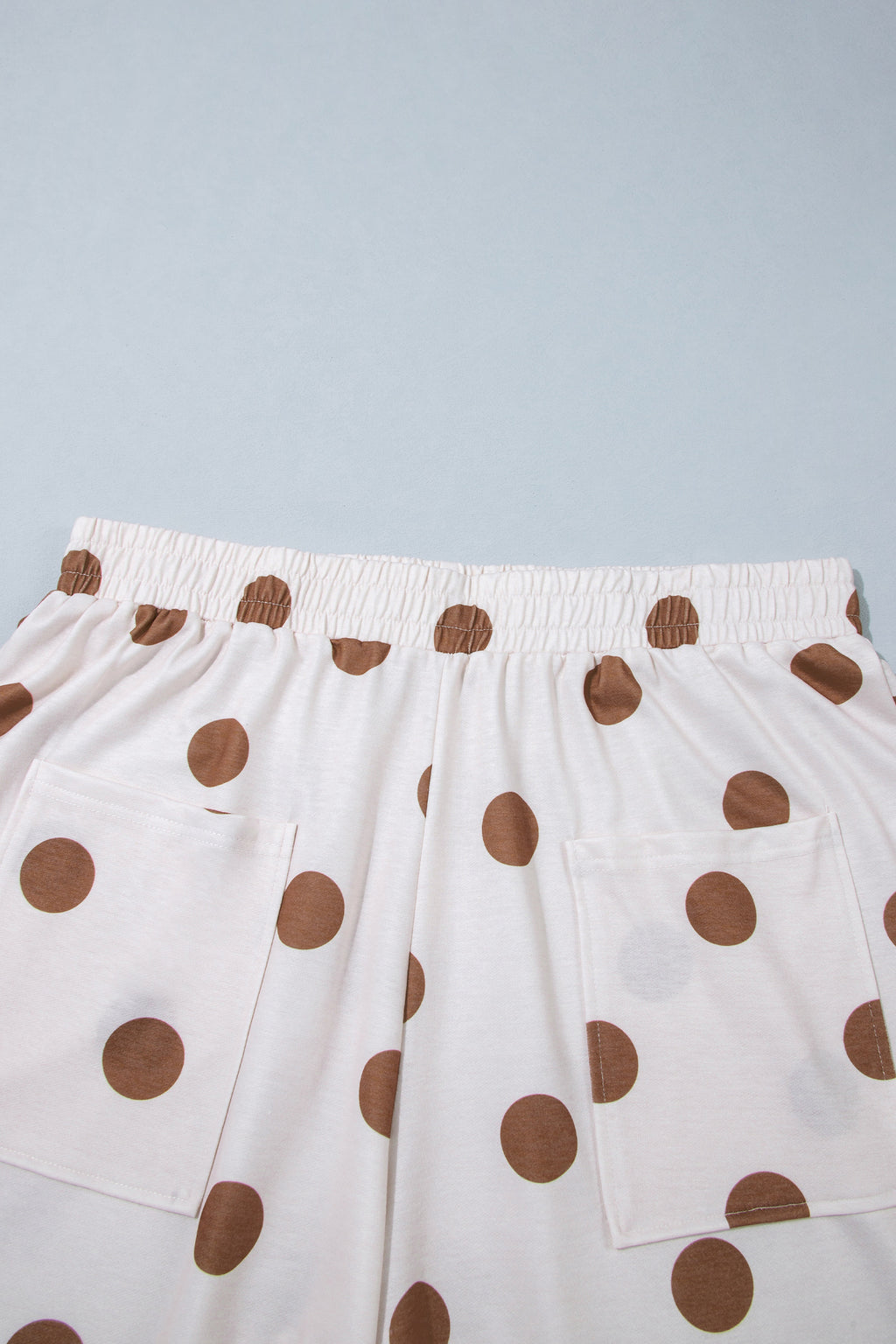 Sky Blue Polka Dot Elastic Waist Wide Leg Plus Size Pants