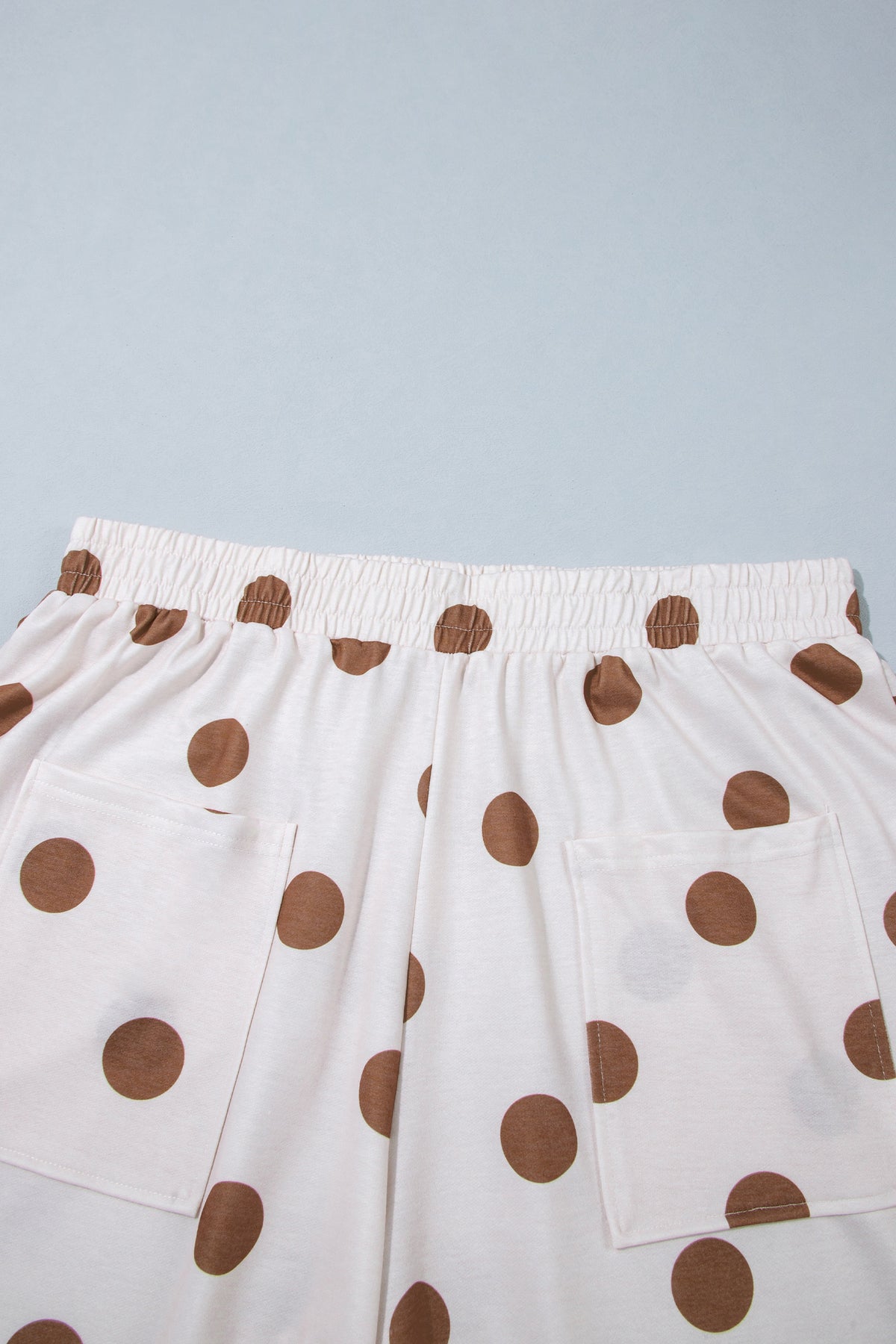 Sky Blue Polka Dot Elastic Waist Wide Leg Plus Size Pants